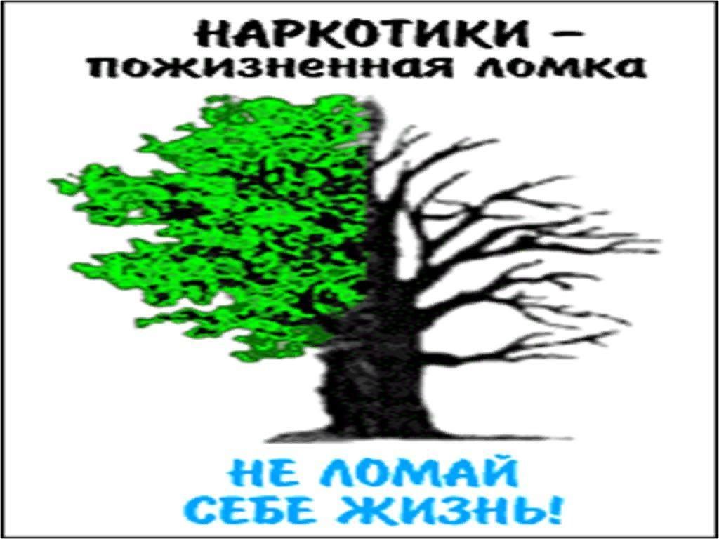 Какой вред приносят наркотики.