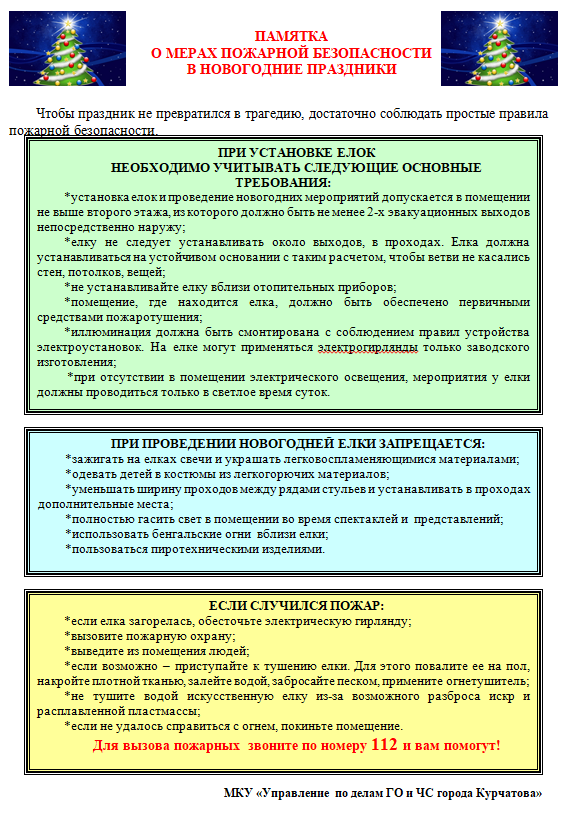 О мерах пожарной безопасности в новогодние праздники.