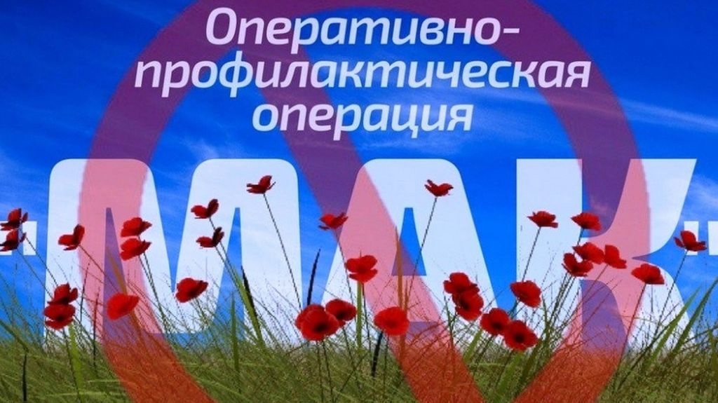 В Курской области  идет подготовка ко второму этапу  межведомственной комплексной оперативно-профилактической операции «Мак-2024».