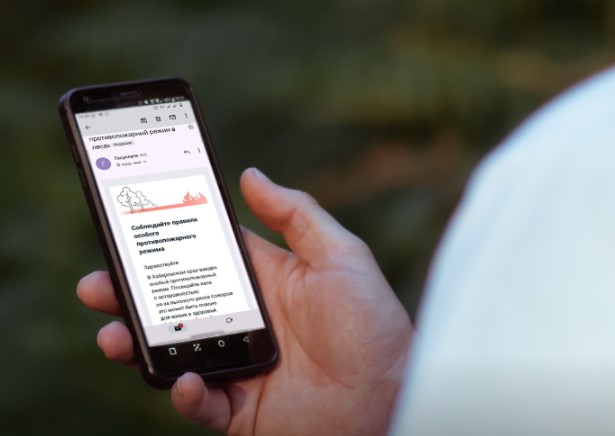 Рослесхоз: россияне узнают о пожароопасной ситуации в лесу через «Госуслуги».