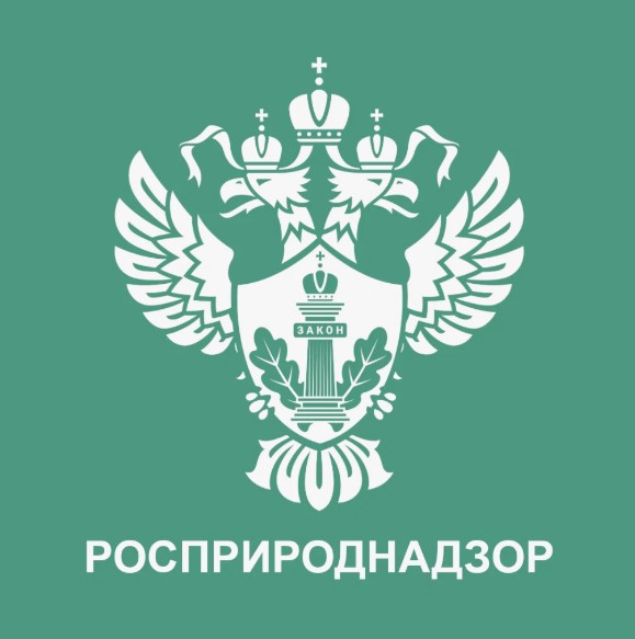 Росприроднадзор в 2024 году обеспечил поступление в бюджет 32,5 млрд рублей.