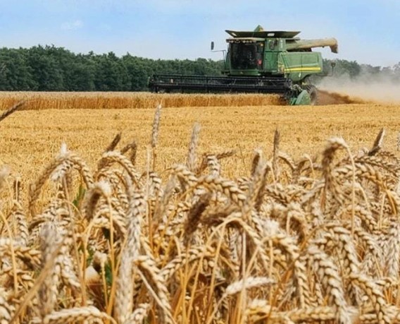 В Минсельхозе РФ прогнозируют рост производства сельхозпродукции в стране в этом году на 4,4%.