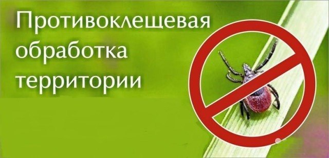 Объявление об акарицидной обработке.