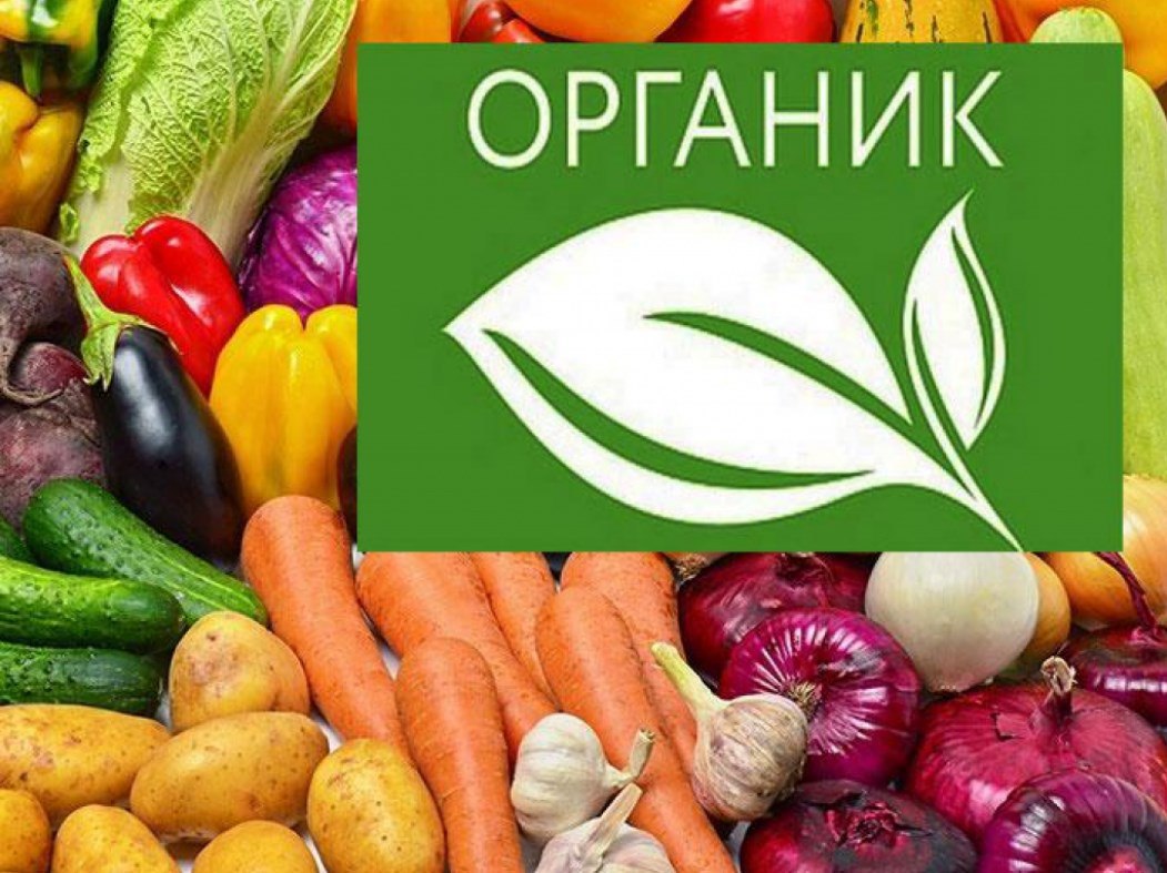 Стратегия органической продукции.