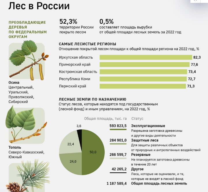 Увеличение площади лесов в России.