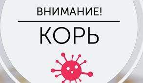 Внимание! Корь!.