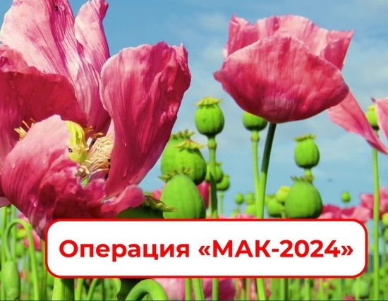  В Курской области  идет подготовка ко второму этапу  межведомственной комплексной оперативно-профилактической операции «Мак-2024».