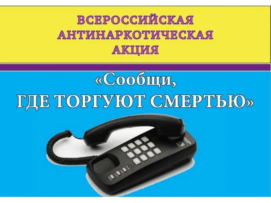 «Сообщи, где торгуют смертью»: «Здоровый образ жизни, Я и вредные привычки».