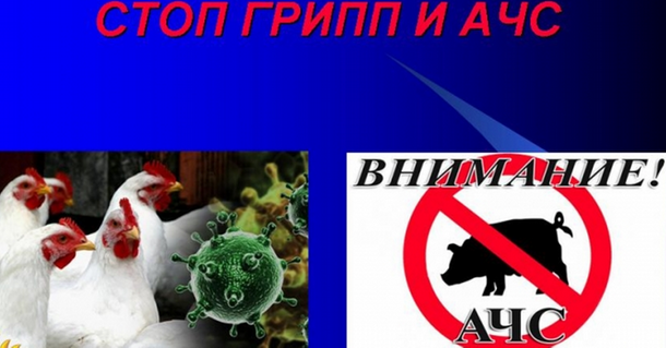 О мерах по предупреждению возникновения АЧС и ВГП.