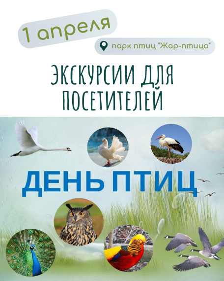 Парк птиц "Жар-птица" приглашает.... Парк птиц "Жар-птица" приглашает....