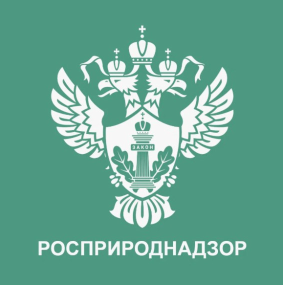 Росприроднадзор в 2024 году обеспечил поступление в бюджет 32,5 млрд рублей. Росприроднадзор в 2024 году обеспечил поступление в бюджет 32,5 млрд рублей.